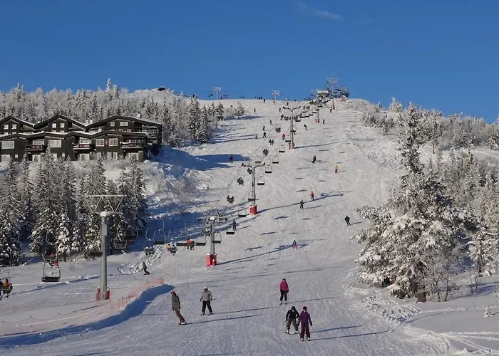 Διαμέρισμα Norefjell Mountain Noresund